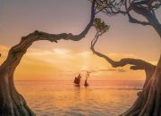 Dibuat Jatuh Cinta oleh Pesona Pantai Walakiri Sumba