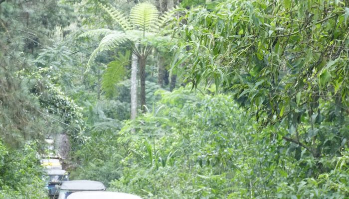 Masih Menarik, Ini 5 Cara Berpetualang Seru di Bandung