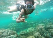 Pantai Dodola, Keindahan Laut Terbelah di Maluku Utara