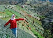 Magelang Rasa Ubud, Hanya di Terasering Kajoran