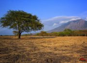 Catat Nih, 3 Destinasi Eksotik di Taman Nasional Baluran