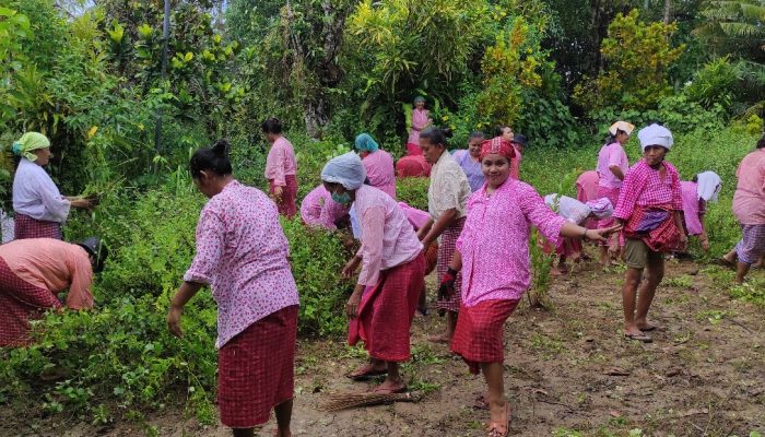 Membaca Kehidupan Rakyat Banda Naira Melalui Ritual Cuci Parigi