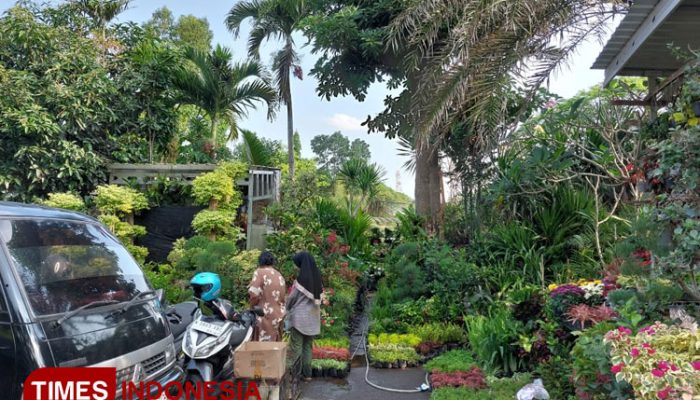 Wisata Unik ke Pasar Burung Splendid